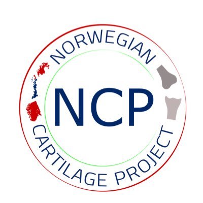 The Norwegian Cartilage Project is focusing on isolated cartilage lesions, involving clinicians and basic researchers in 5 different projects across Norway.