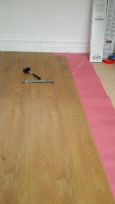 CamilleMogul's profile picture. Immobilier, stock market, voyager et bien manger...