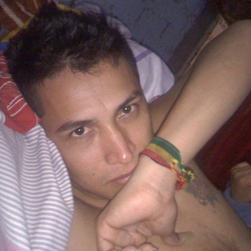 cfebre's profile picture. Naturaleza viva