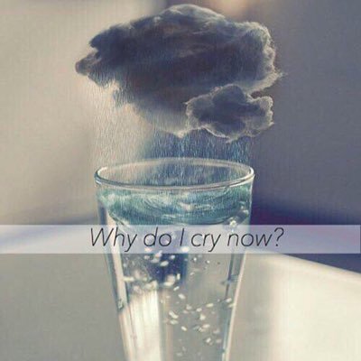 istukanonamida's profile picture. 涙。