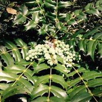 Midwifery Society (@uwl_midsoc) 's Twitter Profile