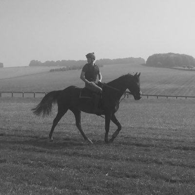 Racehorse Trainer based in Surrey. @tobylawesracing