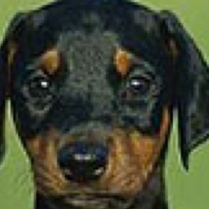 Learntolove13's profile picture. live life to the fullest because everyday is an adventure.