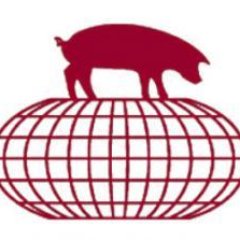 Avid researchers, passionate teachers, and dedicated veterinarians, the members of the swine group focus on all aspects of swine health & management.