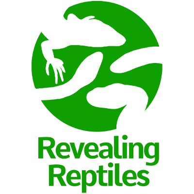 Revealing Reptiles