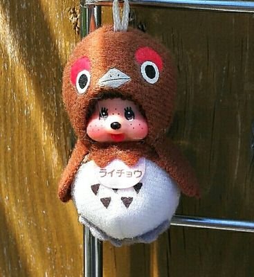 Möwenさんのプロフィール画像