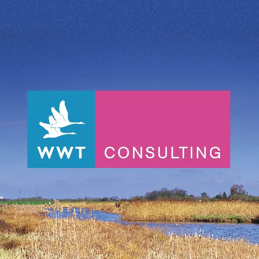 Wildfowl & Wetlands Trust consultancy for eco surveys, habitat design & management, visitor centre planning & interpretation, wetland treatment systems & SuDS.