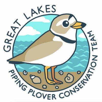 Great Lakes Piping Plover (#GLPIPL) Recovery Effort -A partnership to study & conserve this migratory shorebird's endangered pop. UMN, USFWS, DNR, more & You!