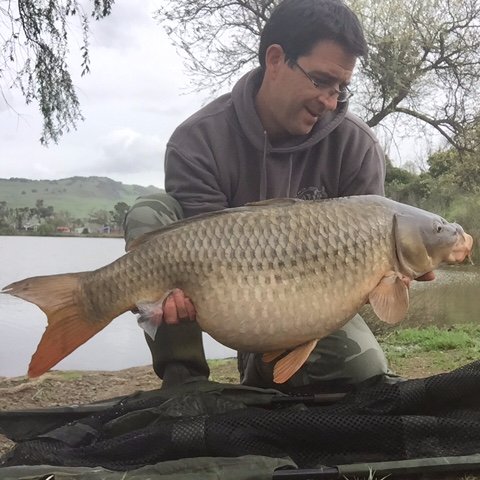 UK carper from Sussex, England now living in California...