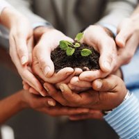 Think Partnering (@thinkpartnering) 's Twitter Profile