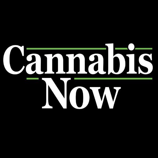 CannabisNow Profile Picture