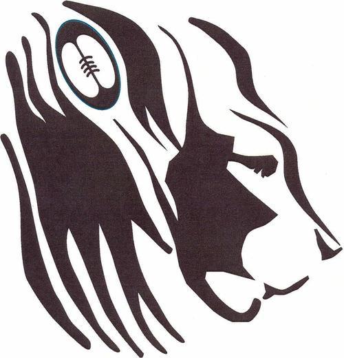 Molloy College Rugby