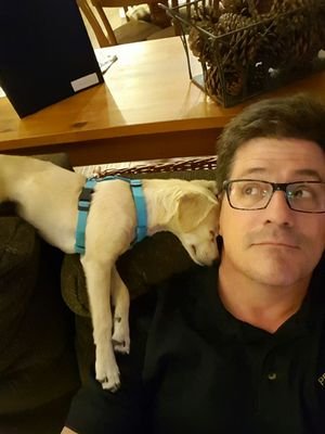 Father, Husband, Teacher, Student, Dog-Walker, Dylan Fan