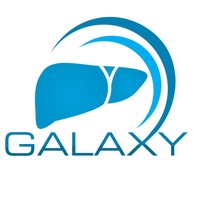 GALAXY(@LiverGALAXY) 's Twitter Profile Photo