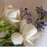 نادية بنت عبدالعزيز الهلالي (@nadyah1385) 's Twitter Profile Photo