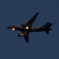 Vio (@vio_2x) 's Twitter Profile Photo