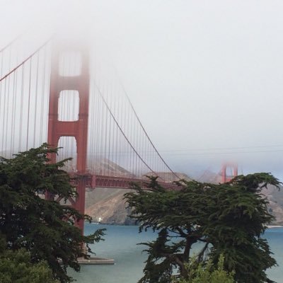 howqueef's profile picture. Math Geek :)