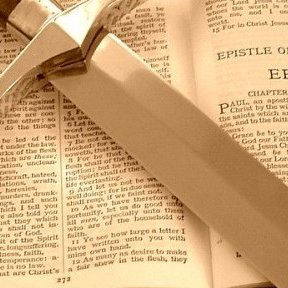 Ann_Em1's profile picture. Classical Educator. 🌍