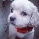 Merlin carter mahone - @MarlinSMD1996 - Twitter