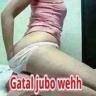 65fdb7b272c4477's profile picture. putus asa xpernah ade dlm kamus hdp aku!!!!
cari partner utk chill atau ape2 je..