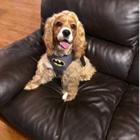 Max (@maxmax092715) 's Twitter Profile