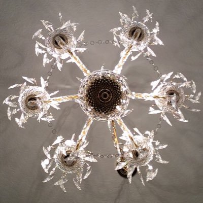 neely_tx's profile picture. Programmer. Technologist.