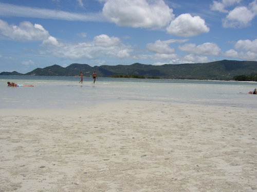 hiropiroman's profile picture. ダメ人間なので私のつぶやきは参考になりません、ご注意下さい。