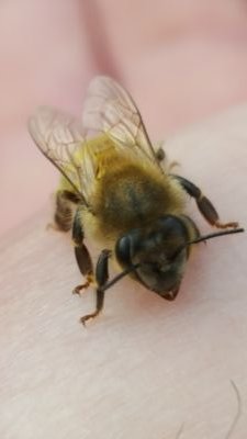 sidecut3937's profile picture. just a good old boy trying to enjoy life