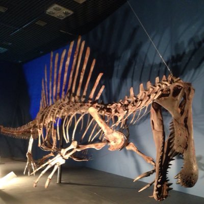 美品❣️ミニ バグパイプ Amazon.co.jp: バグパイプ - フォーク・トラディショナル吹奏楽器