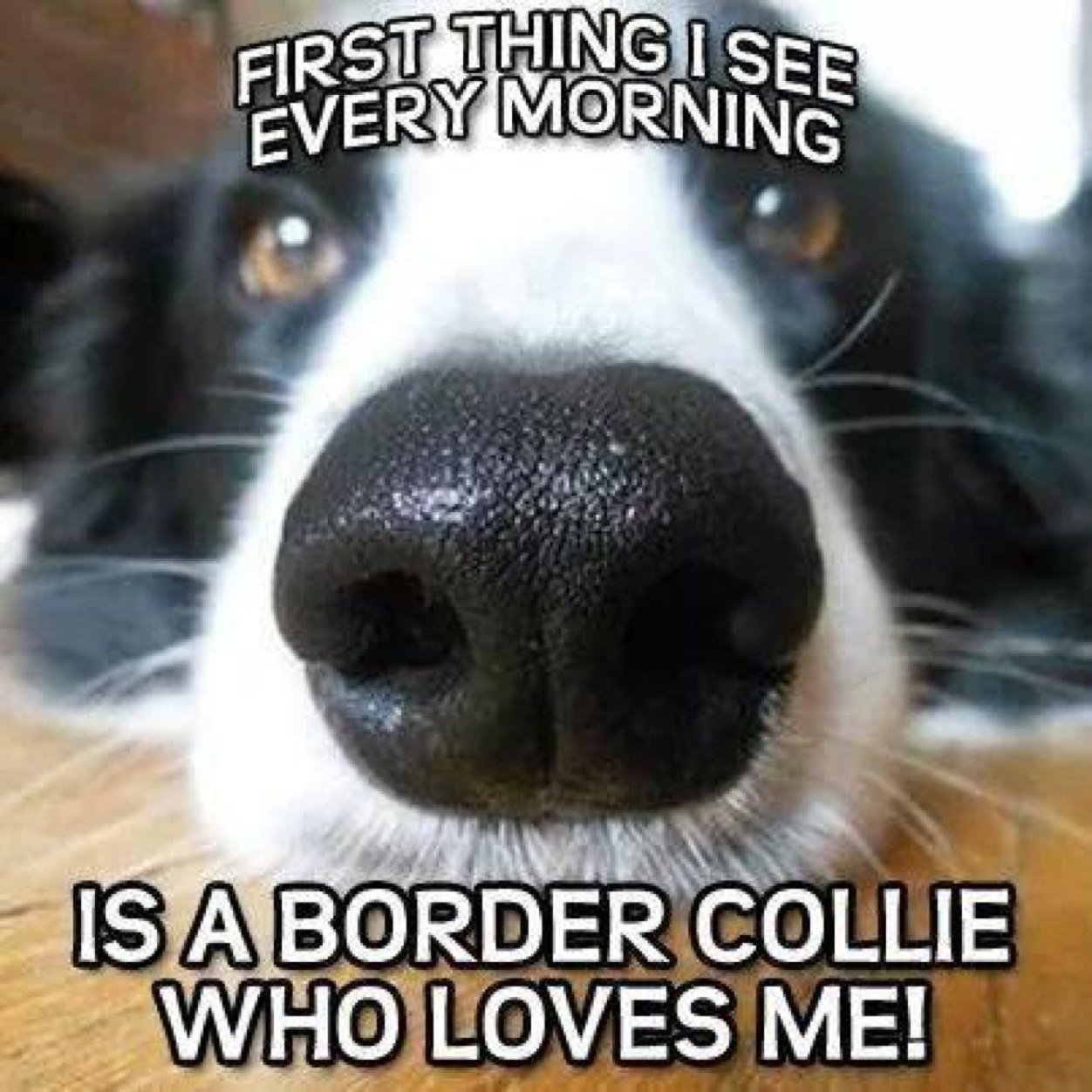 tweetertilly's profile picture. English and Proud...