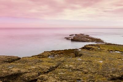 orumafoto's profile picture. 