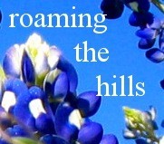Roaming The Hills reviews places to go and things to do in the Texas Hill Country. The perfect resource for planning a vacation or day trip.