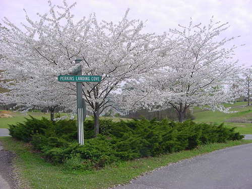 PerkinsLanding's profile picture. A loving and wonderful place to live.