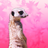 ZaynyOne's profile image