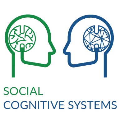 Social Cognitive Systems Profile