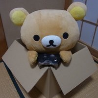 ヌエ@病みダメ人間 (@nue_heartbroke) 's Twitter Profile
