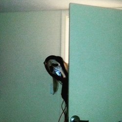 imgossiprp's profile picture. The queen is dead. Long live the evil queen.