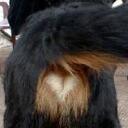 Diane Eller - @luckeyeller - Twitter