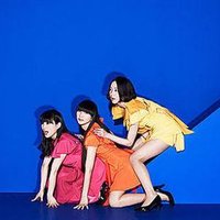 じぇにー (@scy_at) 's Twitter Profile