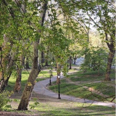 rachelfester's profile picture. Educator and lifelong learner.