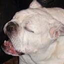 Cliff Hightower - @hedaddie - Twitter