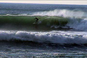 Strider_Surfer's profile picture. CEO of Strider Investments. Commercial Finance. Proud Father of 2 Beautiful Young People! Divorced and loving that! Ready to Make a lot of money in 2010!