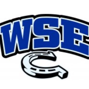 WSE is committed to providing a nurturing environment that promotes academic excellence and lifelong learning...