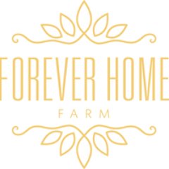 Forever Home Farm is an event and wedding venue located near the Pisgah Forest, NC. https://t.co/PoqgBItrWa