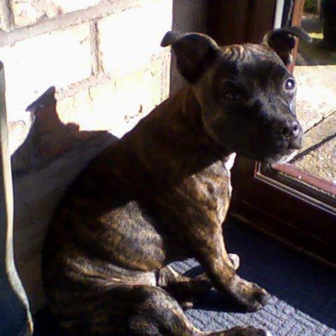 cieraw782's profile picture. 