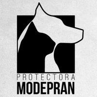 Modepran(@modepran) 's Twitter Profile Photo