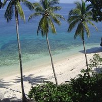 Limasawa (@limasawa_news) Twitter profile photo
