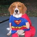 Stacy Doster (@stacydoster) Twitter profile photo