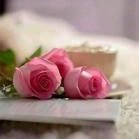 عبير (@abeeer1133111) 's Twitter Profile