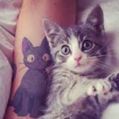 Red the cat :3さんのプロフィール画像